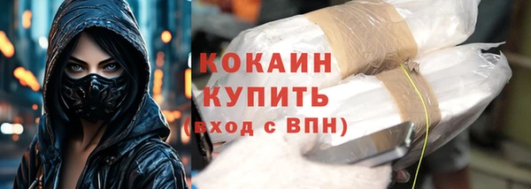 первитин Бикин