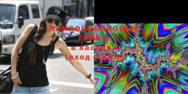 экстази Няндома