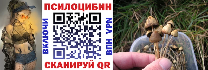 Псилоцибиновые грибы MAGIC MUSHROOMS  наркошоп  ОМГ ОМГ маркетплейс  Бирюч 